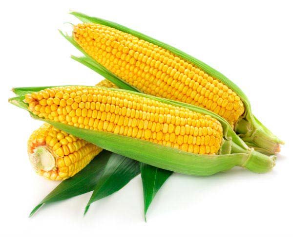 b1