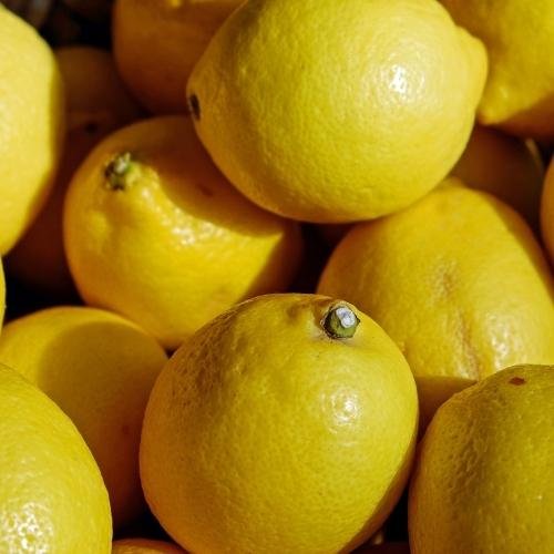 d2