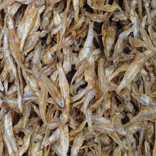 fresh-dry-fish-500x500-1