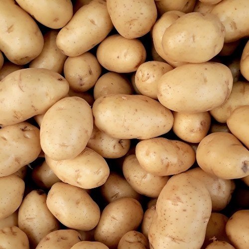 image 119