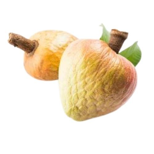 o8